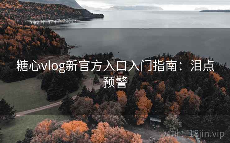 糖心vlog新官方入口入门指南：泪点预警